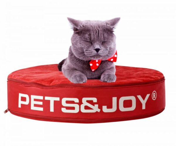 Cat-Bed-Rood-e1549966199547-768×637