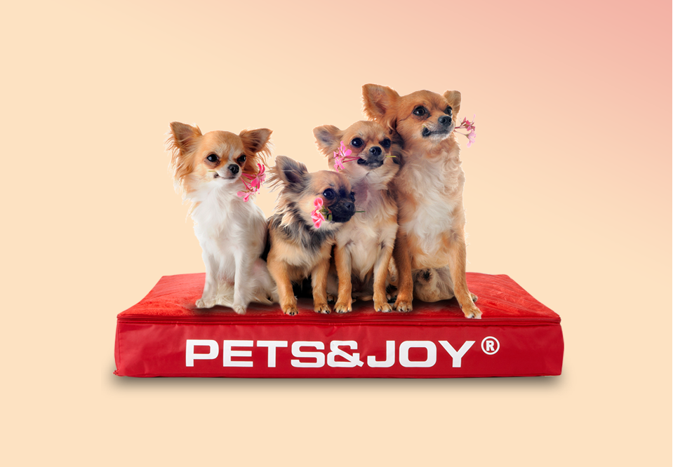 Dog Bed Large Zwart